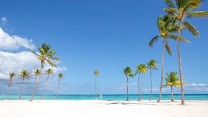 A beach with white sand and palm trees under a clear blue sky. - Cozy 1br w Balcony Pool Beach Access Cap Cana (Punta Cana)