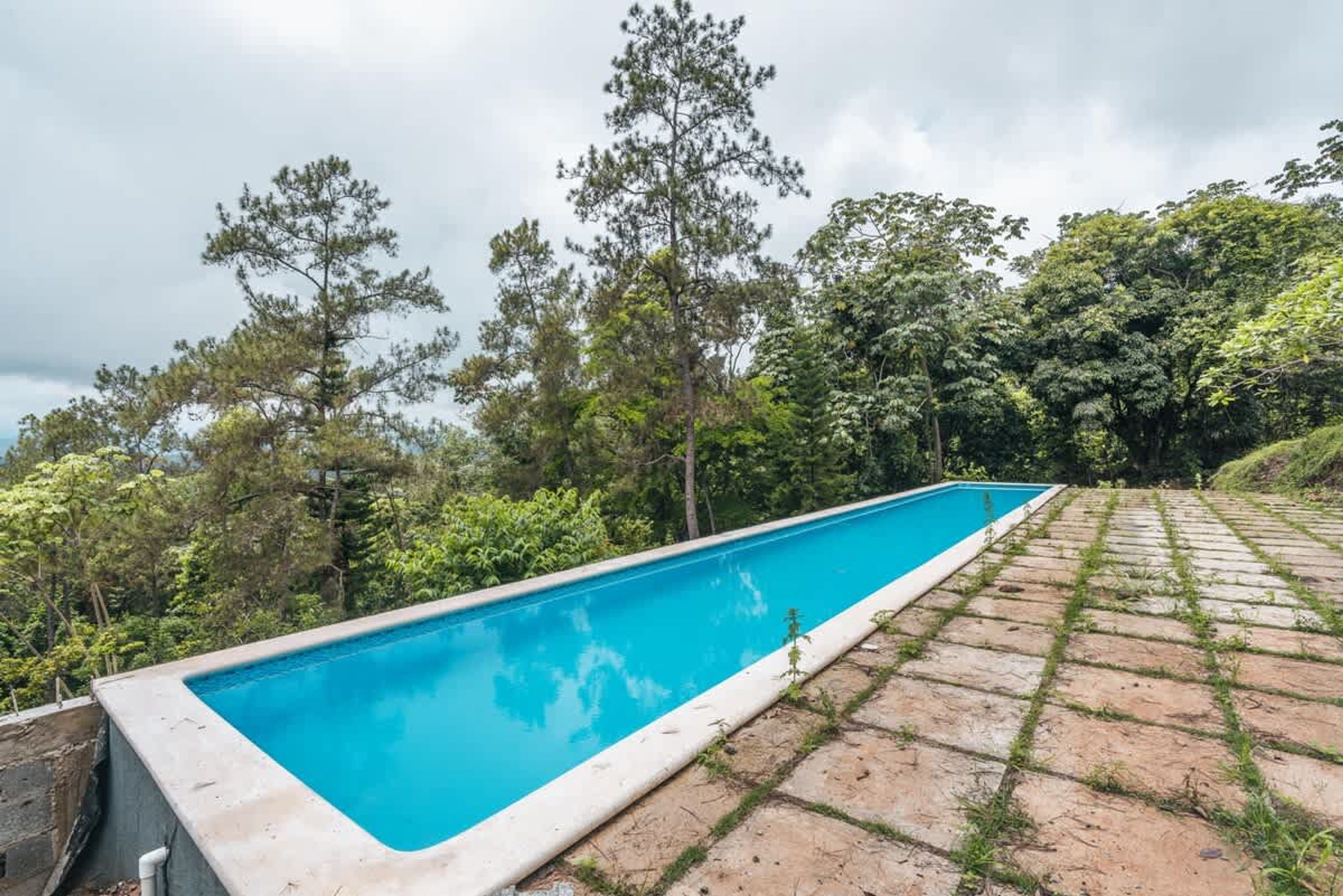 A rectangular swimming pool with a clear blue water surface, surrounded by a paved deck and lush greenery.