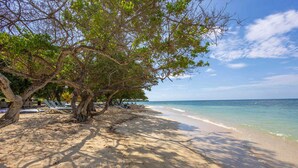 A beach with lounge chairs and a tree providing shade. - 3-bedroom Apartment With Ocean Views in Baru (Cartagena)