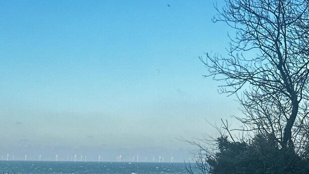 Une vue côtière avec des éoliennes à l’horizon, des zones herbeuses et un arbre.