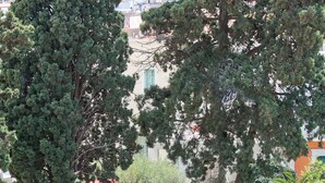 En byggnad av sten med ett rött tak, omgiven av grönska och med utsikt över en stad som ligger på en sluttning.