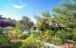 Property grounds - Hotel Abatis (Agistri)