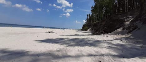 House | View from property