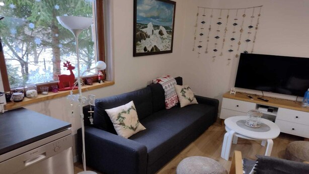 A living area with a sofa, a television, a small table, and a window with decorations. - Year-round Holiday Home With Fireplace, 3 Bedrooms (Choczewo)