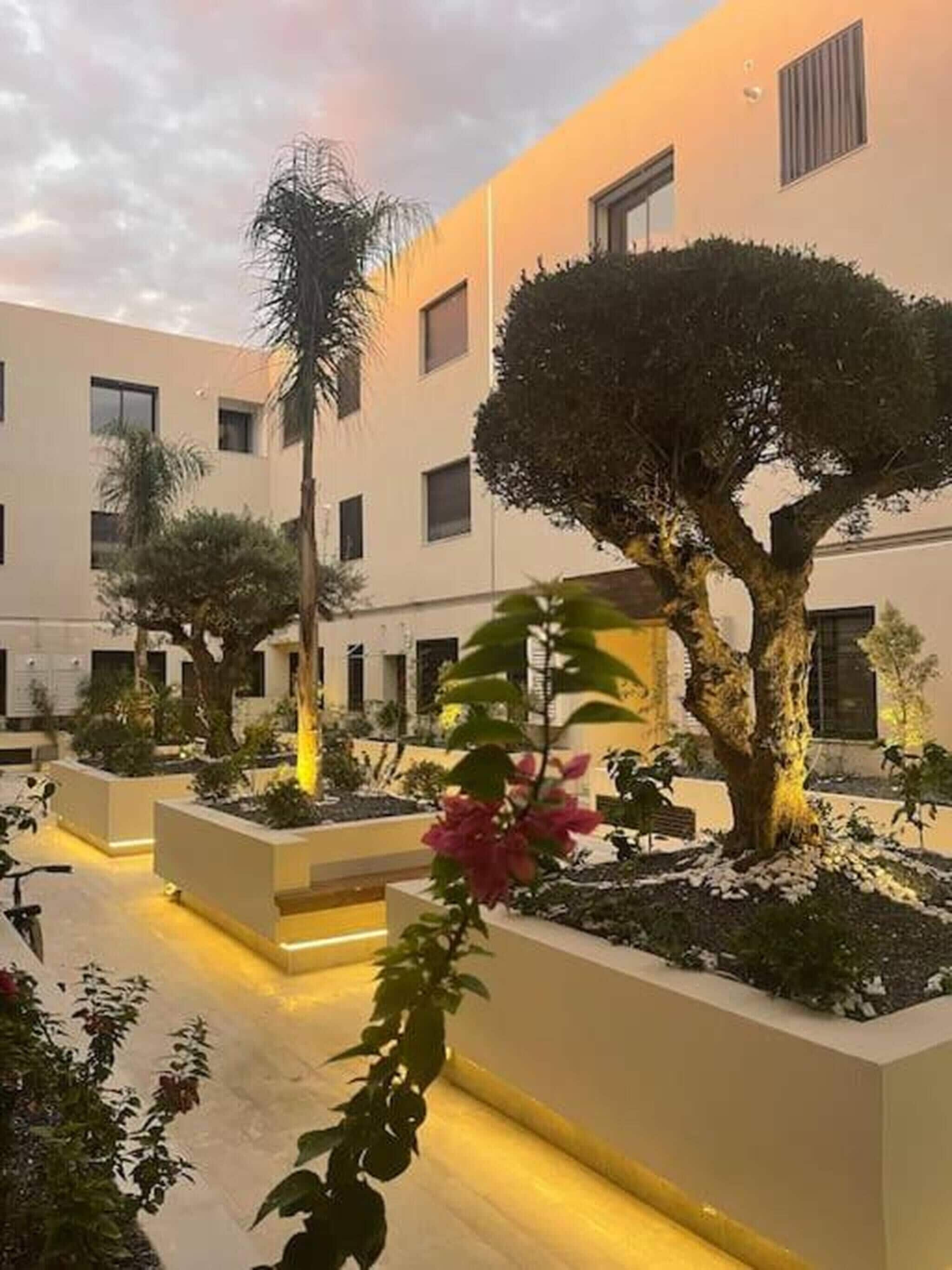 Apartment, 1 Bedroom | Property grounds