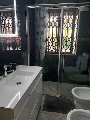 Shower, hair dryer, towels