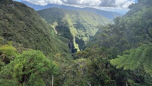 A lush valley with dense greenery and a waterfall. - Luxury villa facing the Etang salé les bains beach (L'Étang-Salé)