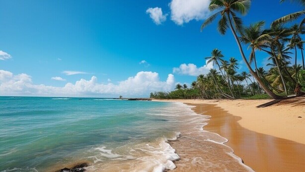 Ein Strand mit klarem türkisblauem Wasser, sandigem Ufer und Palmen.
