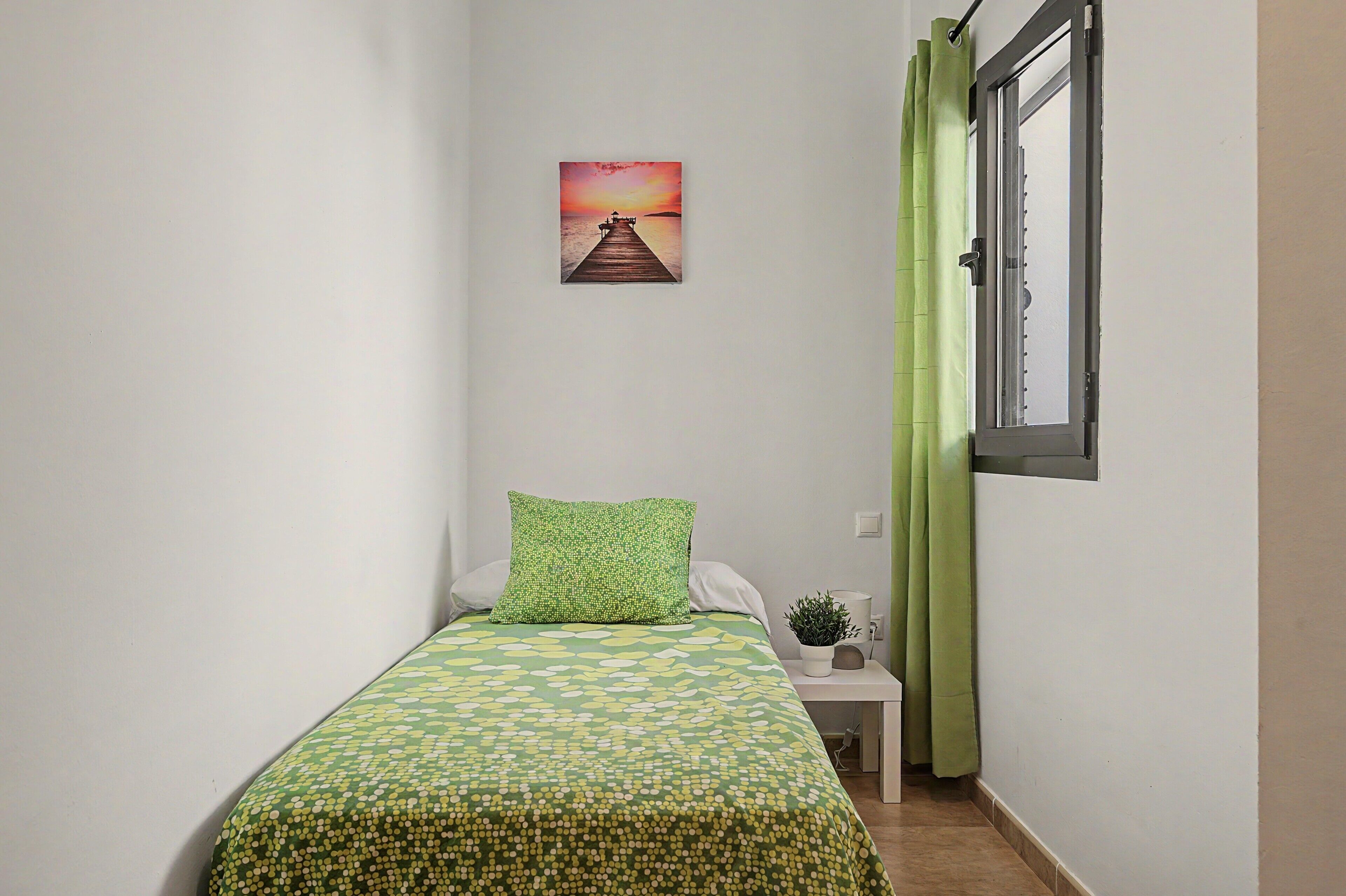 Una habitación pequeña y estrecha con una cama individual, una mesita de noche, una planta en maceta y un cuadro de un atardecer sobre un muelle.