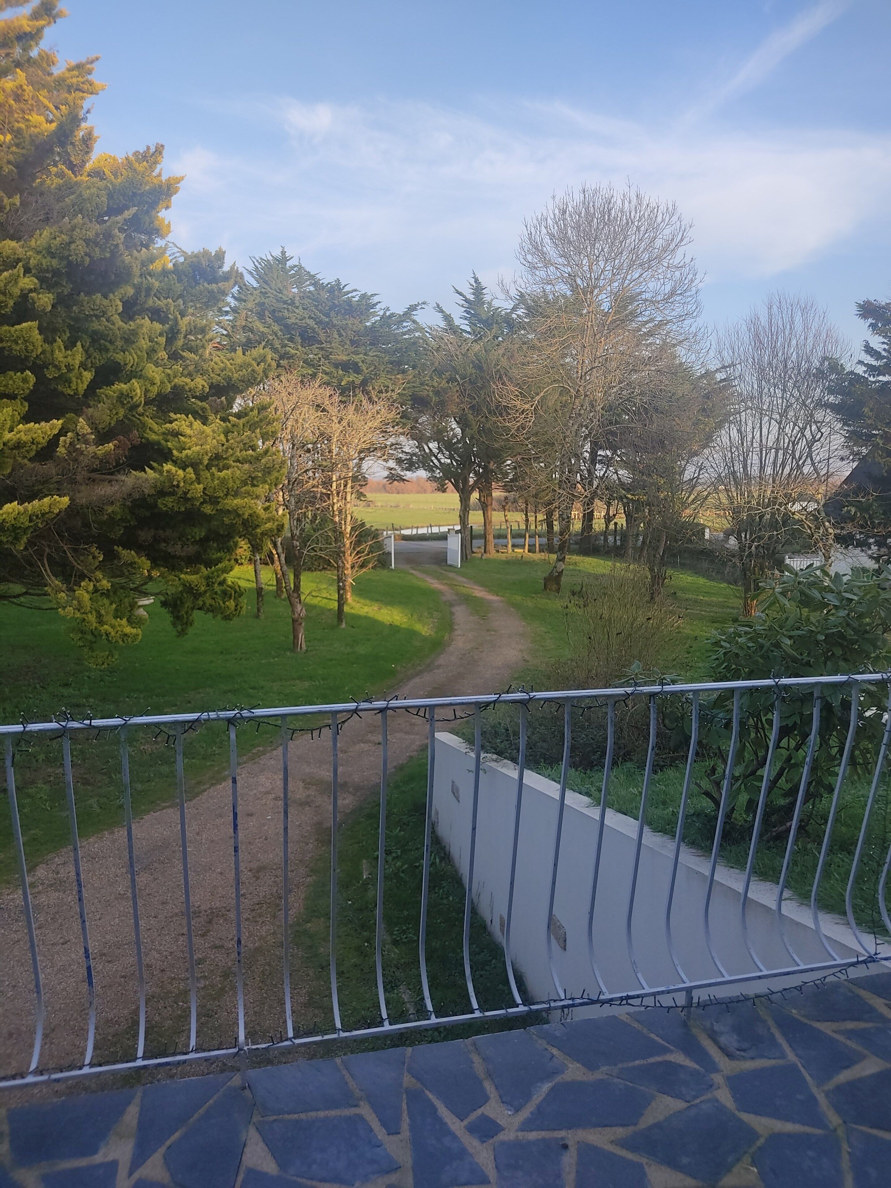 A paved pathway leading through a park with trees and a fence.