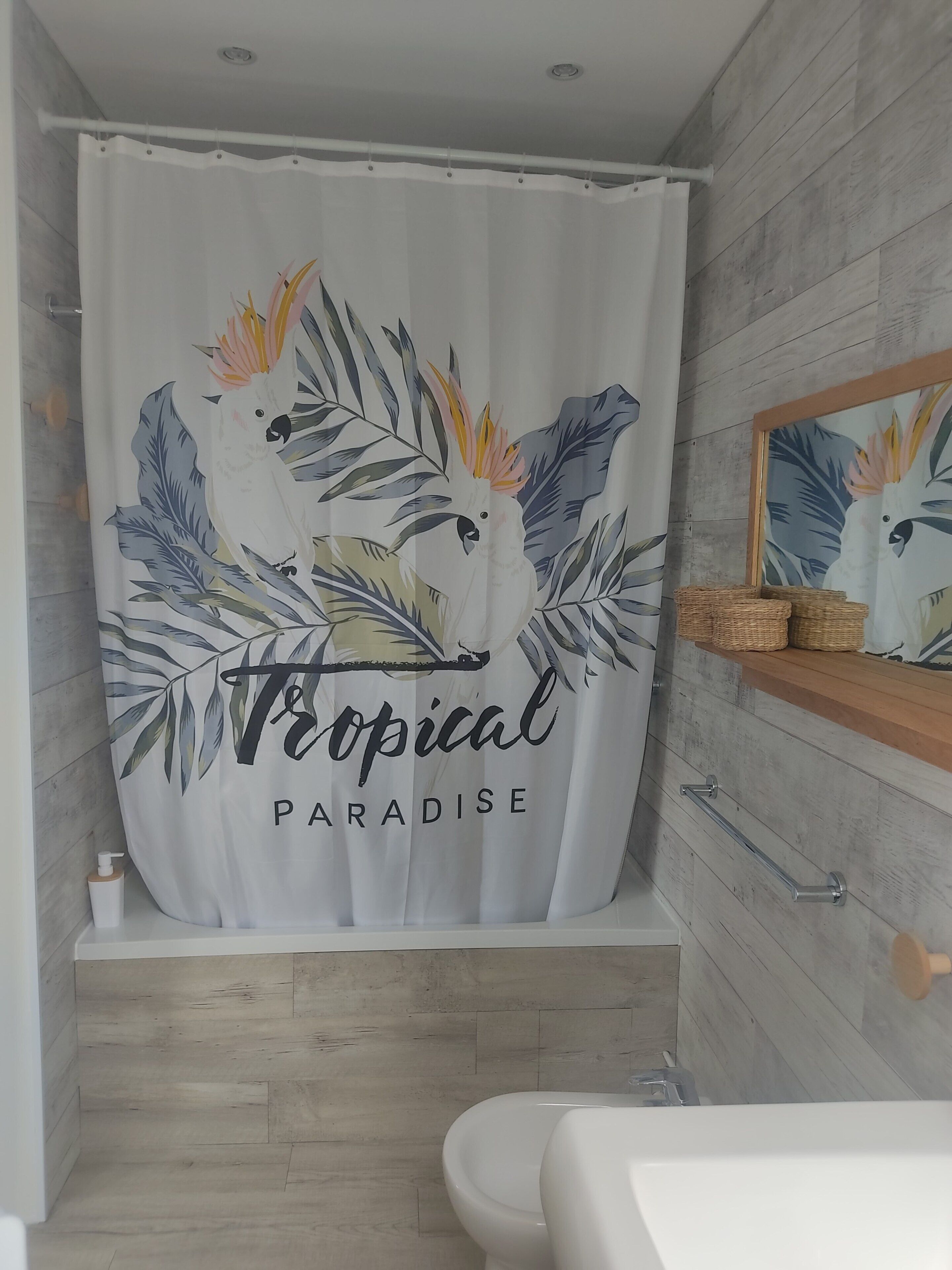 Hair dryer, bidet, towels, soap