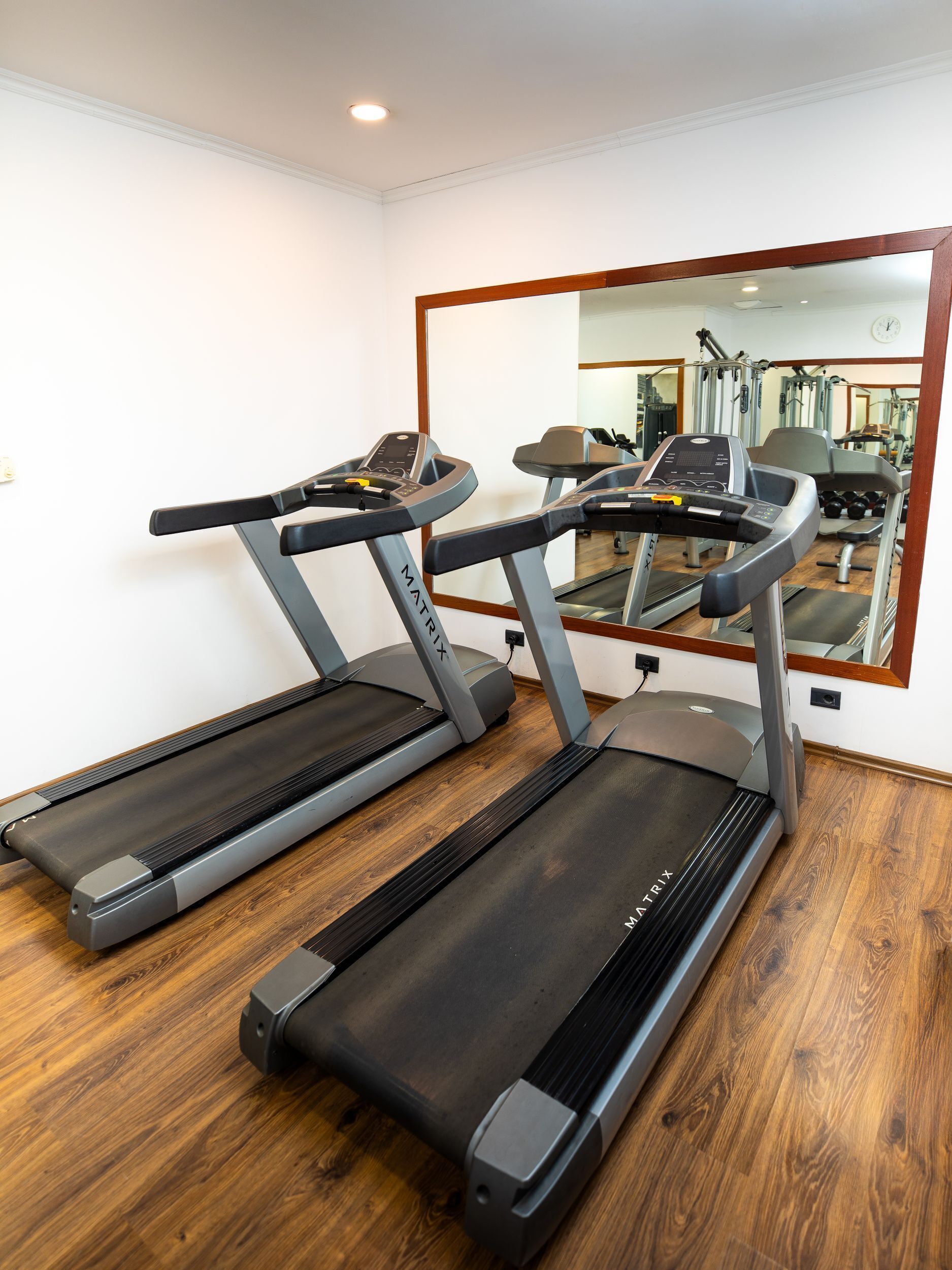 A gym with treadmills, a mirror, and exercise equipment.