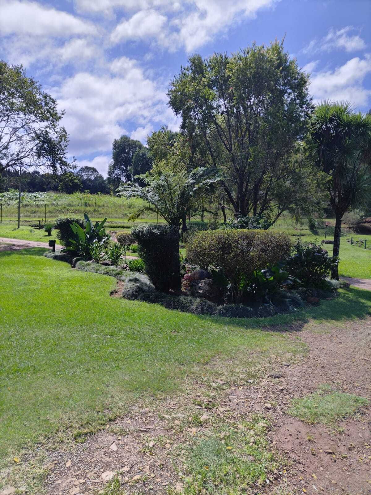 A landscaped garden with various trees and shrubs, a dirt path, and a grassy area.