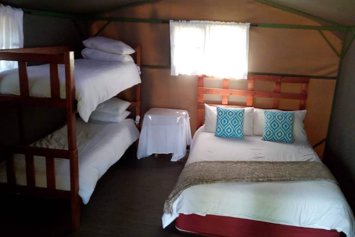 A dormitory room with bunk beds, a small table, and a window with curtains.