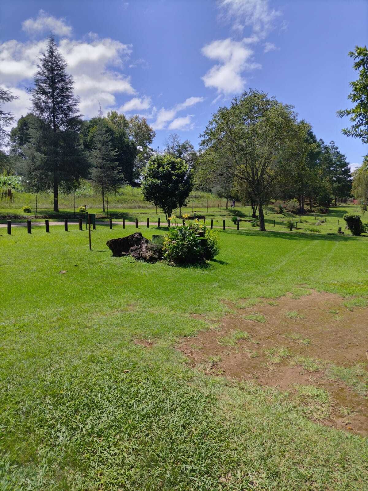 A cemetery with green grass, trees, and a clear sky.