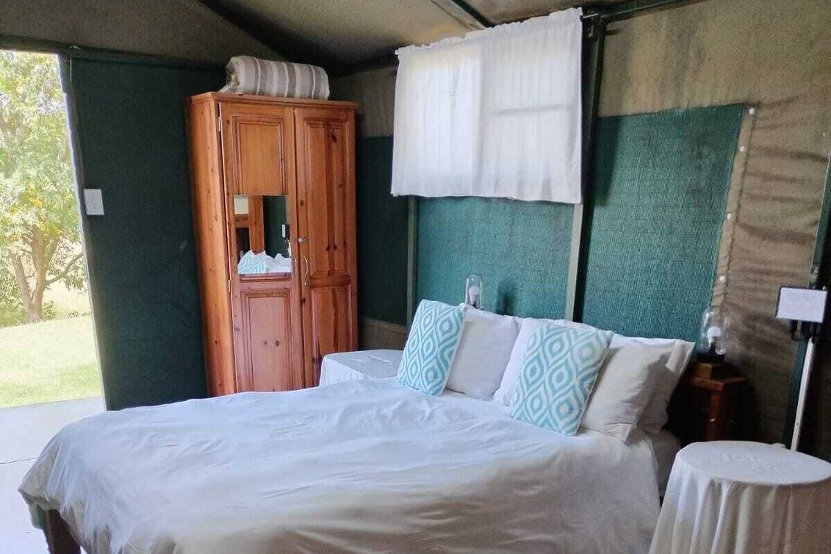 A single bed with white bedding, a small bedside table, and a wooden cabinet with a mirror.