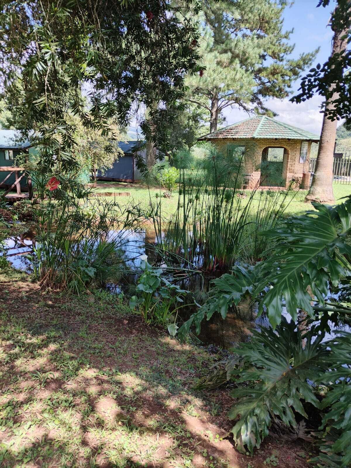 Um pequeno edifício de tijolos com telhado verde, rodeado por vegetação exuberante e um lago.