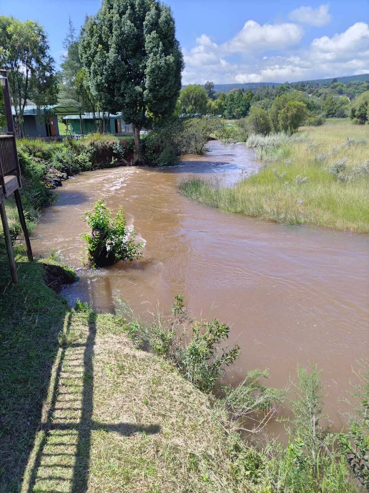 Un río serpentea por una zona cubierta de hierba, con árboles y un edificio al fondo.
