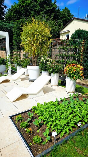 A garden with potted plants, a white structure, and a tiled patio area. - Luxurious large Home + Pool + Garden + Koi Pond 15 min. from city center (München)