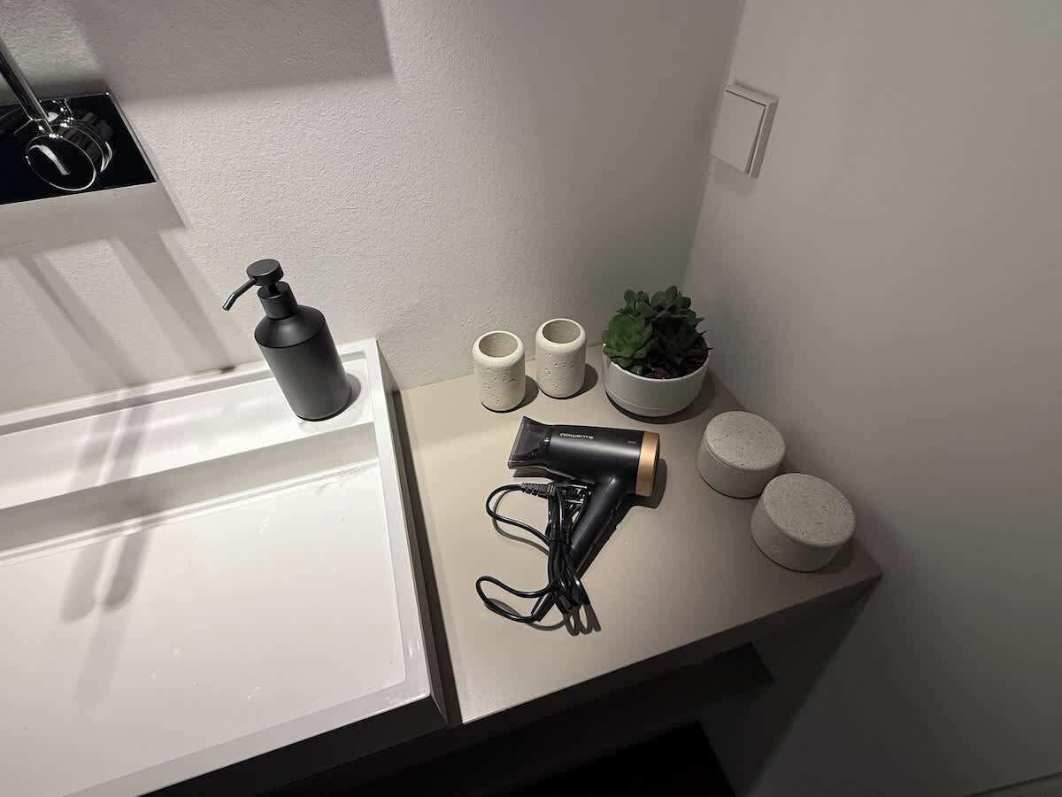 Ein Badezimmer mit einem weißen Waschbecken, einem schwarzen Fön, einer Seifenflasche und einer Topfpflanze.