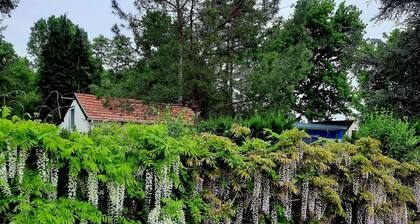 Independent Cottage in Tree-Filled Park with Terrace, Shared Garden and Fiber Internet