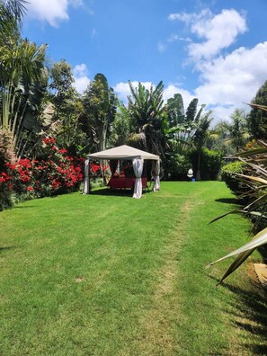 Unclassified image, 4 of 9, button - Silva Montana (Chogoria)