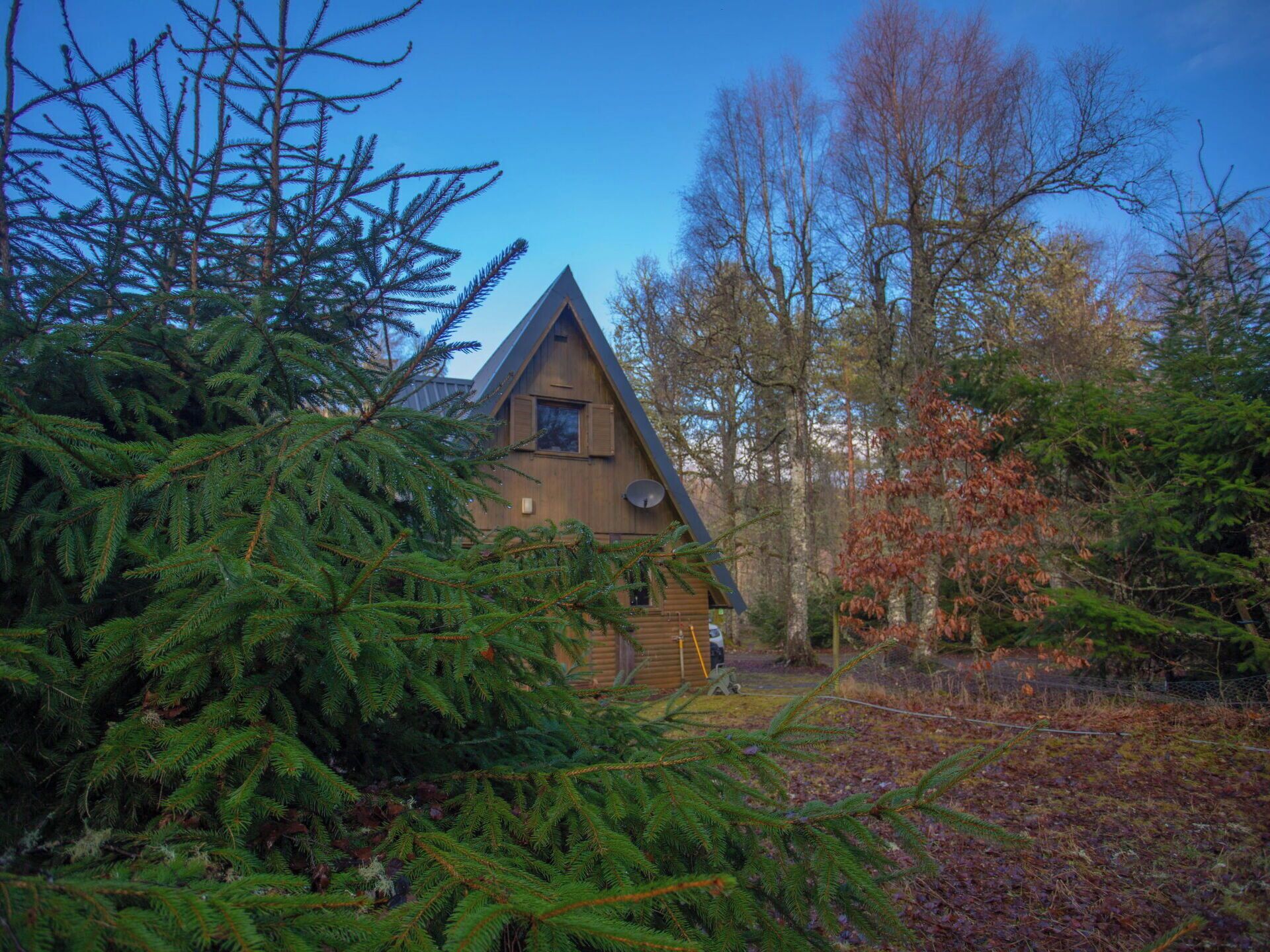 A cabin with a triangular roof, surrounded by dense evergreen trees and a forested backdrop.