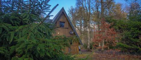 A cabin with a triangular roof, surrounded by dense evergreen trees and a forested backdrop.