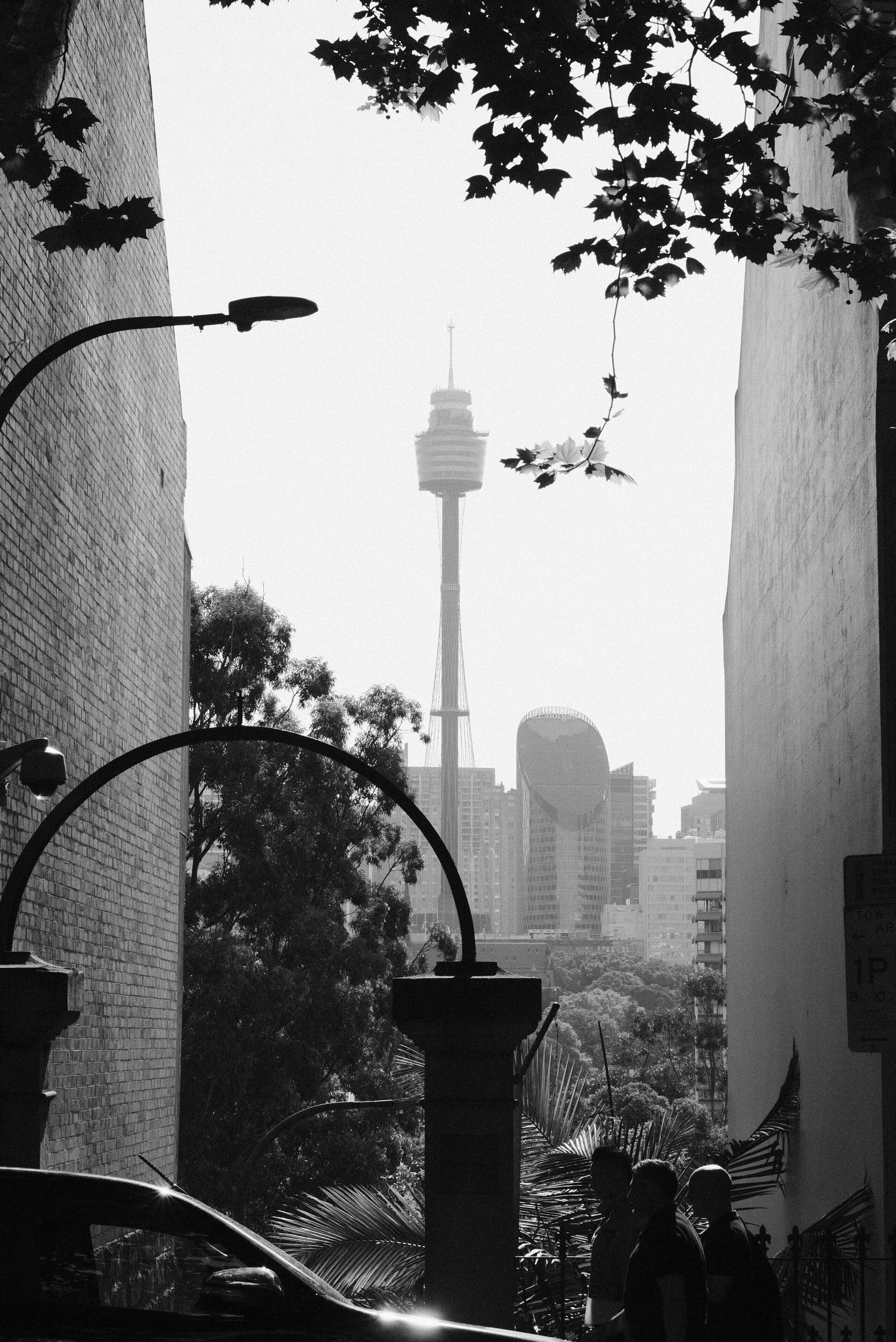 A street view with a tower in the background, surrounded by buildings and trees.