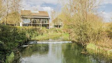 Ein Haus mit Teich, umgeben von Bäumen und Pflanzen.