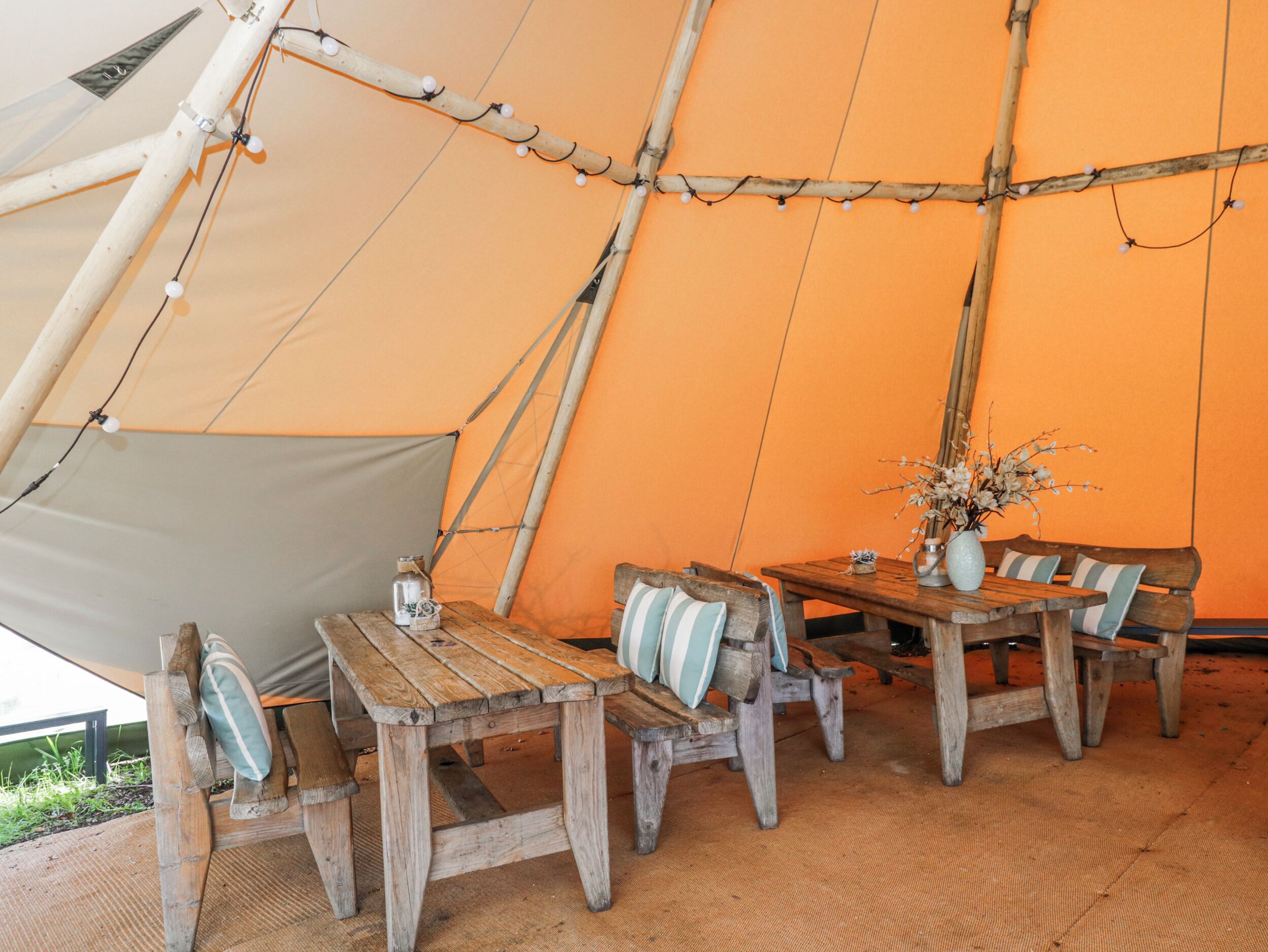 A tent with a table and benches, a vase with flowers, and a bottle on the table.