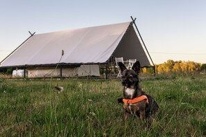 Huisdieren toegelaten