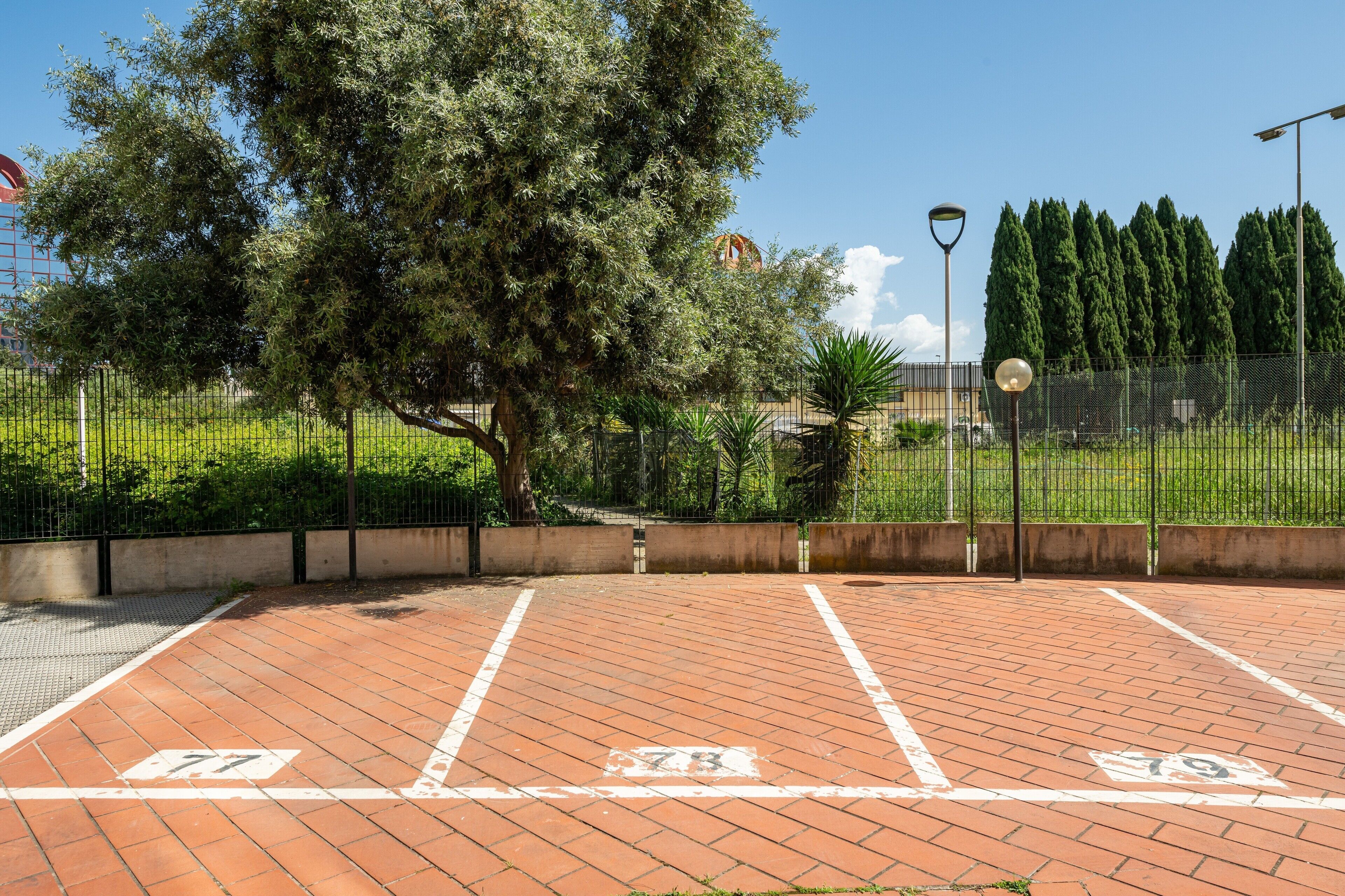 Terrain de sport