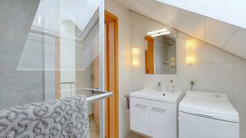 Shower, hair dryer