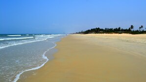 Una spiaggia con una battigia sabbiosa, onde oceaniche e una fila di alberi in lontananza.