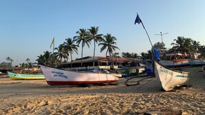 Barche su una spiaggia sabbiosa con palme sullo sfondo.