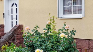 A building with a white door, a window with a white frame, and a rose bush in front.