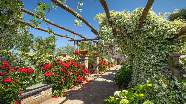 Ein gepflasterter Weg, gesäumt von blühenden Pflanzen und einer Holzpergola.