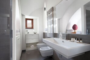 Regadera, secadora de cabello, bidet, toallas 