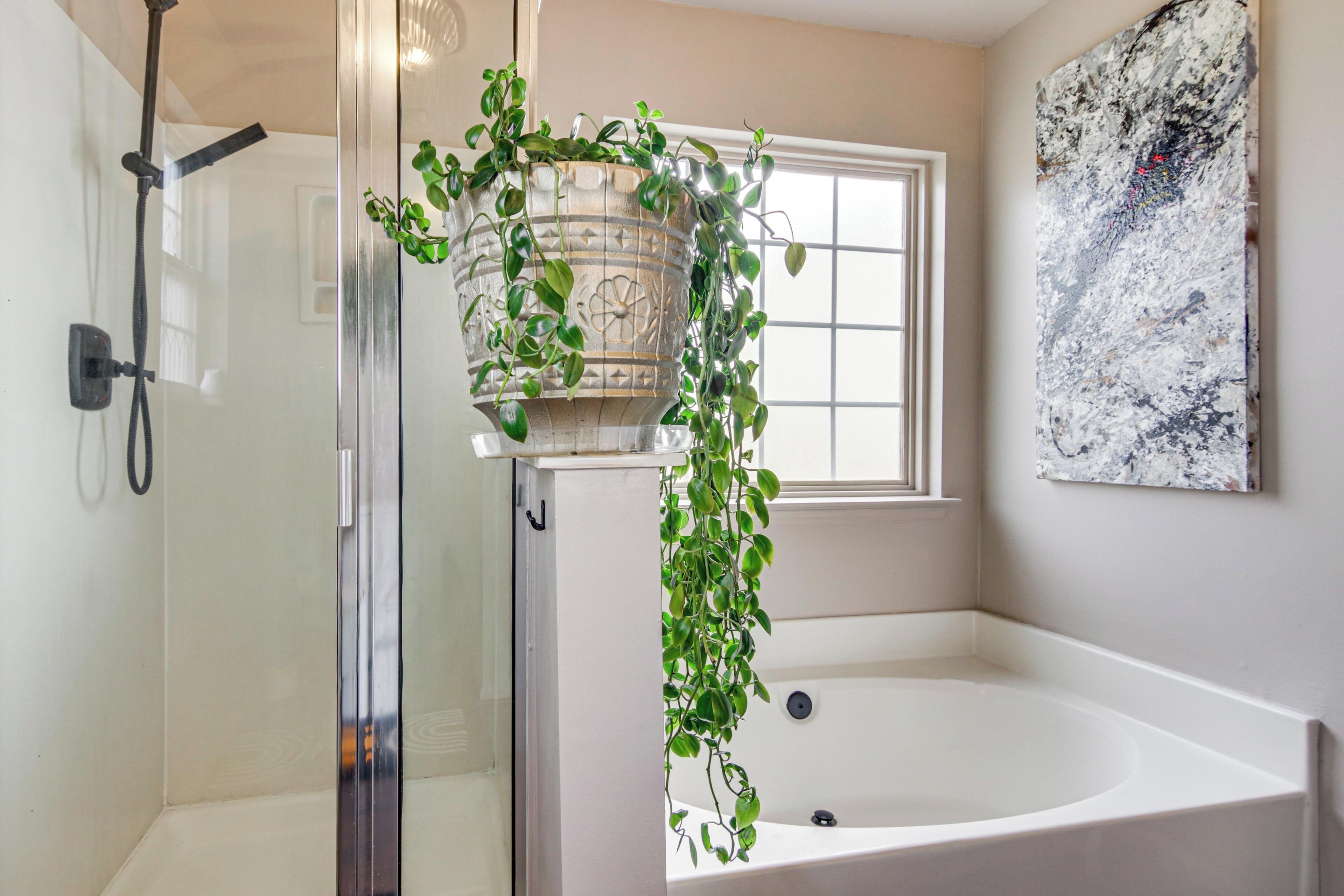 A bathroom with a glass-enclosed shower, a freestanding bathtub, and a potted plant.