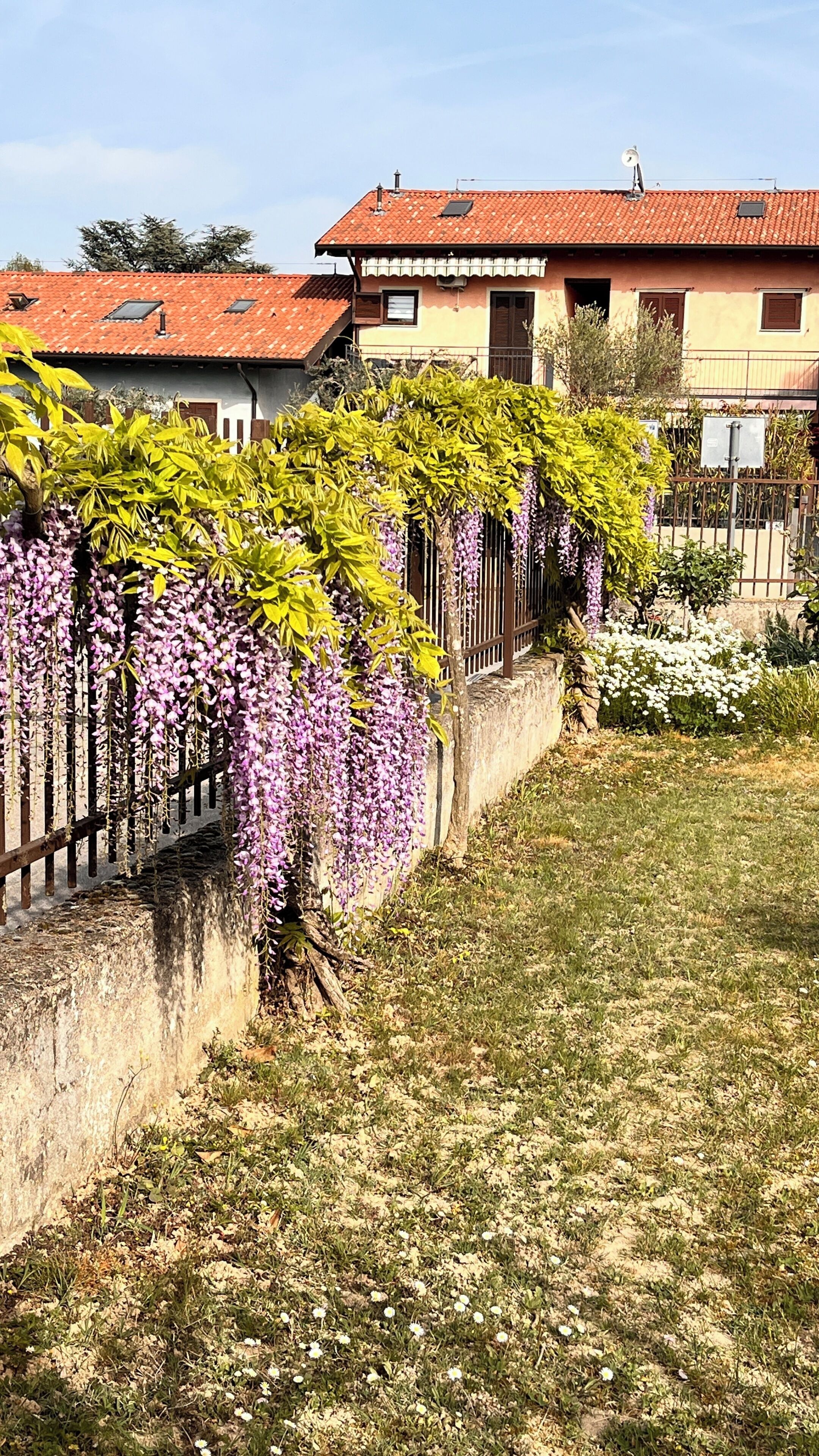 Detalle exterior