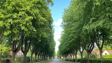 A tree-lined street with a clear sky.