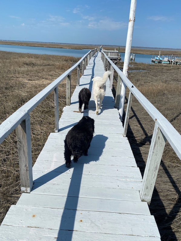 Imagem sem classificação, 1 de 16, botão