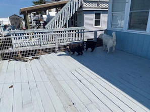 Imagem sem classificação, 5 de 16, botão