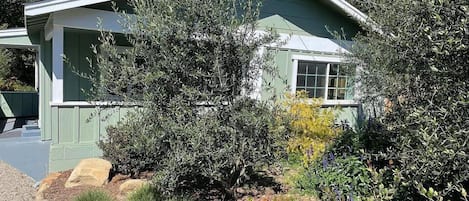 Área da propriedade