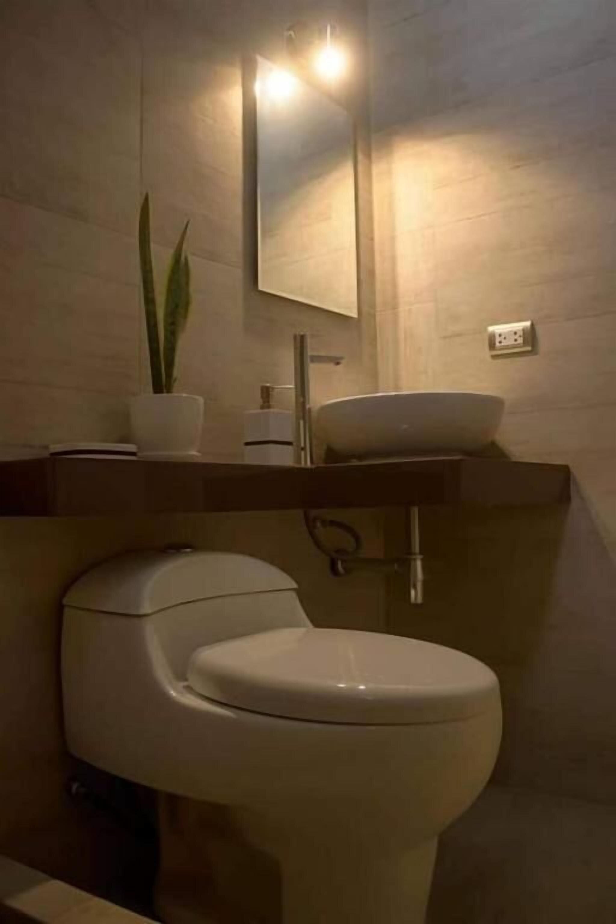 A bathroom with a toilet, sink, and a potted plant.