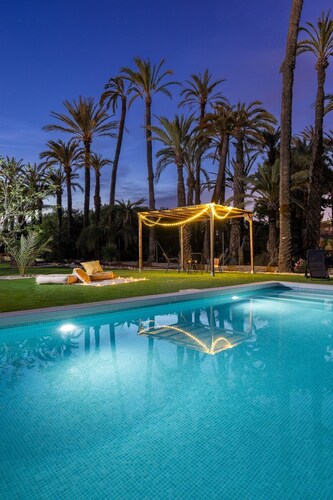 Historical Palms by Fidalsa