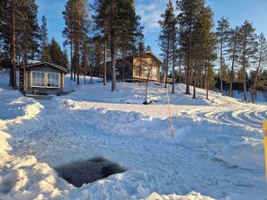 House, 3 Bedrooms, Balcony | Property grounds