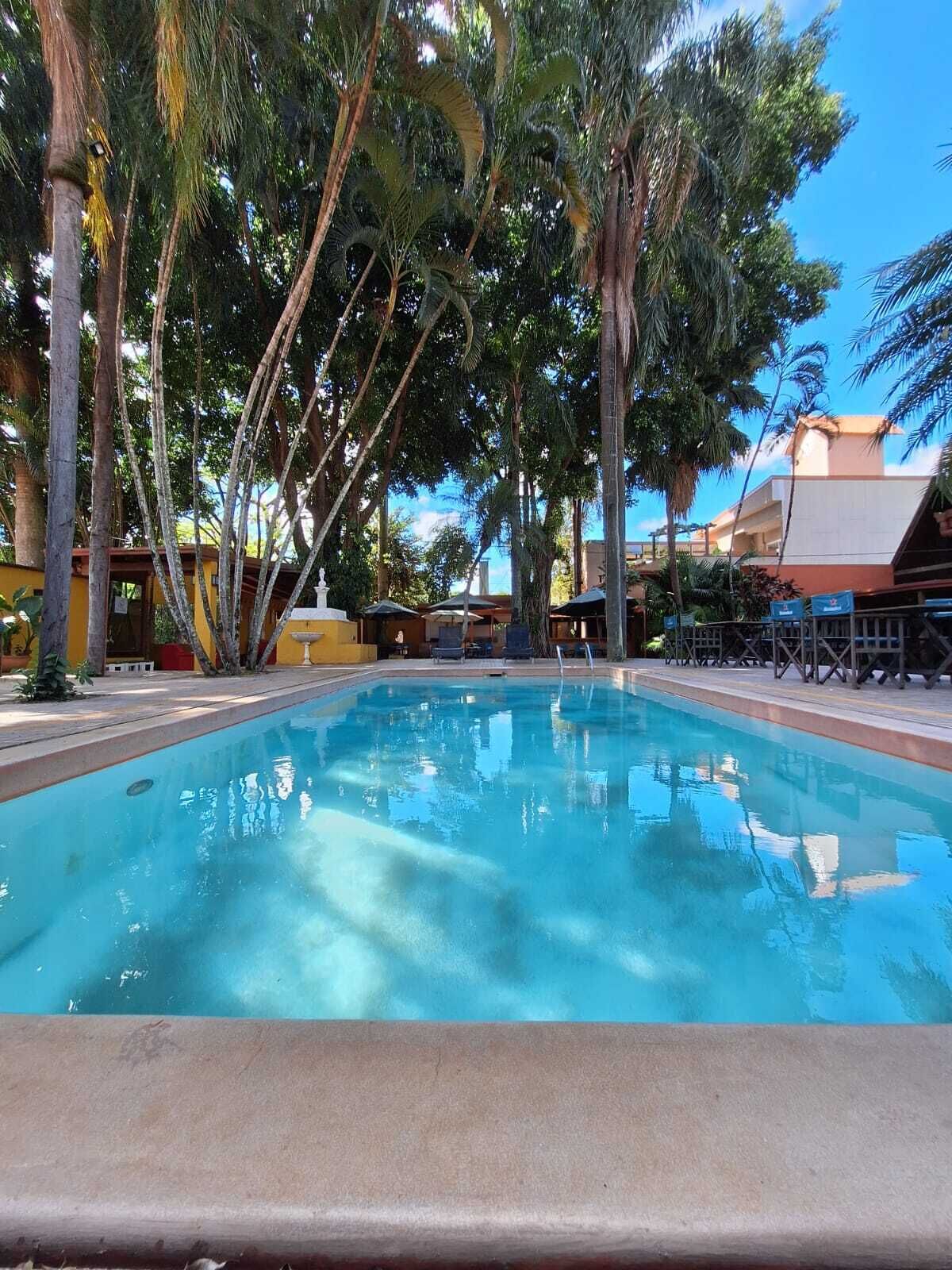 Una piscina al aire libre, sombrillas, sillones reclinables de piscina