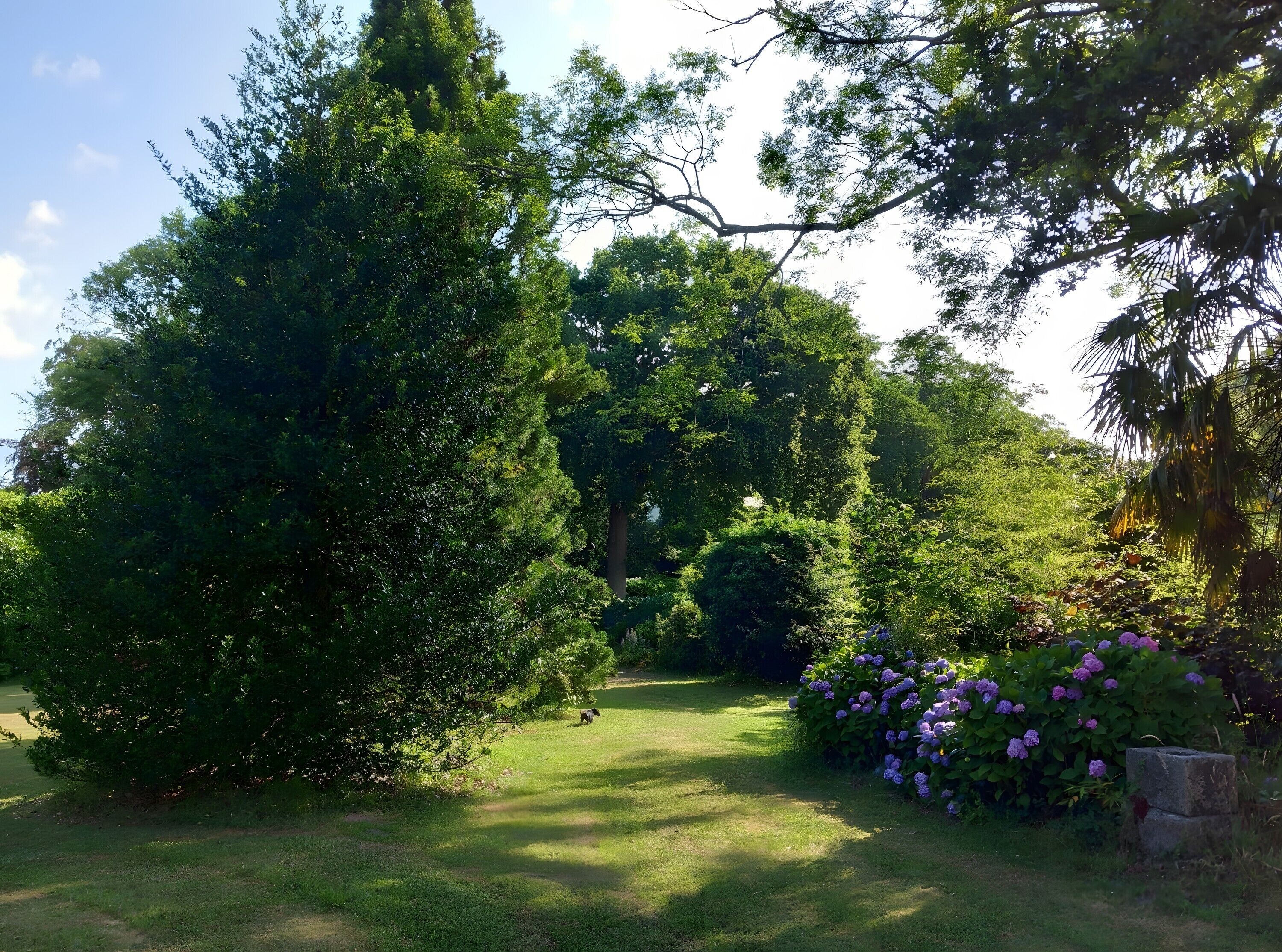 Terrein van de accommodatie